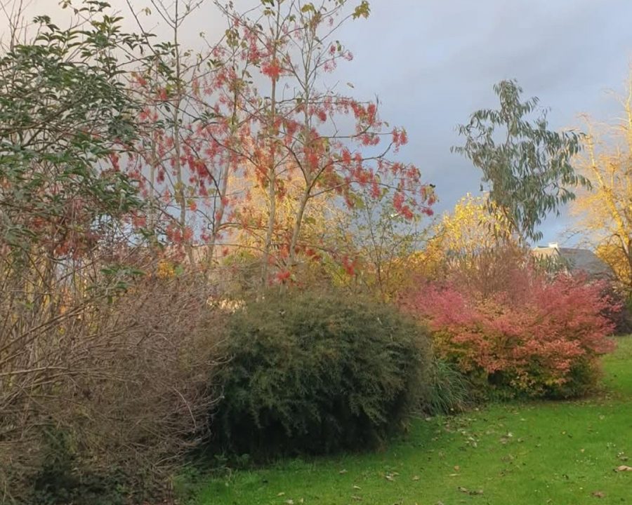 Saint-Georges-de-Rouelley-Le-Jardin-Habite5