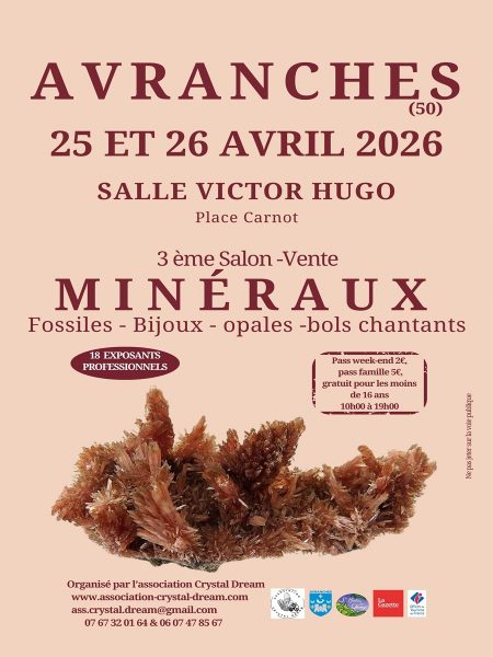 Salon exposition vente minéraux fossiles bijoux pierres fines