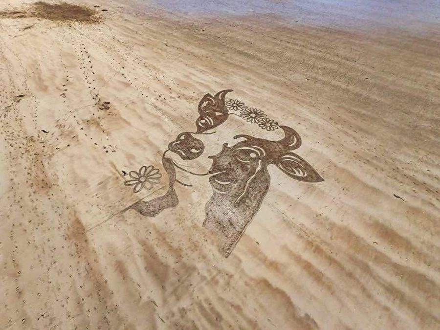 Sartilly-Baie-Bocage-Au-Gre-de-mes-Semelles-de-Vent1