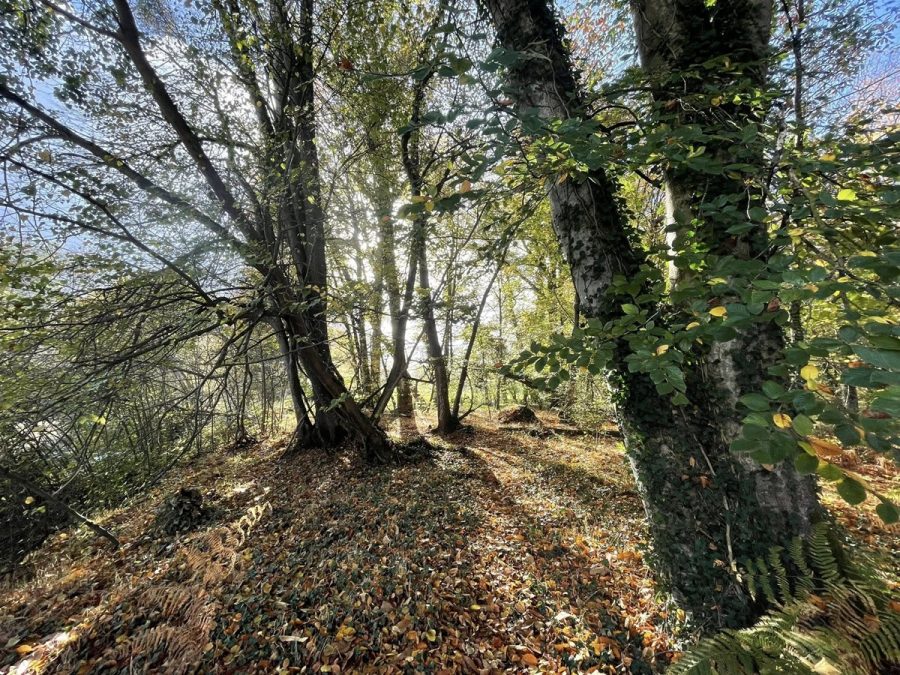 Sophro-balade-Ducey-17-10-2026