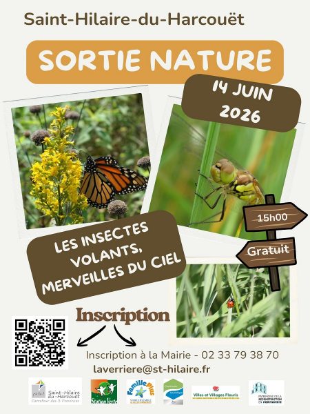Sortie nature : Les insectes volants, merveilles du ciel