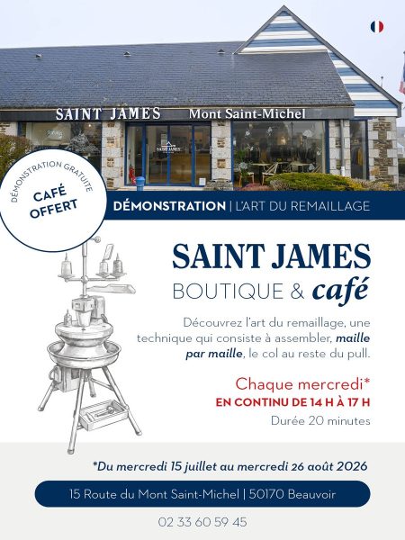 Démonstration – L&rsquo;art du remaillage