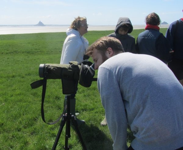 Péservons les zones humides – Observation des oiseaux
