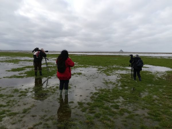 Préservons les zones humides – Sortie prés salés