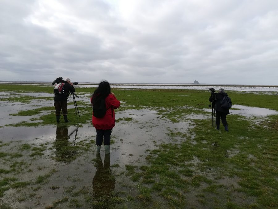 Vains-Ecomusee-de-la-Baie-sortie-ornithologique-CD50-2