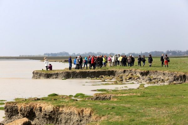 P&rsquo;tite sortie prés salés