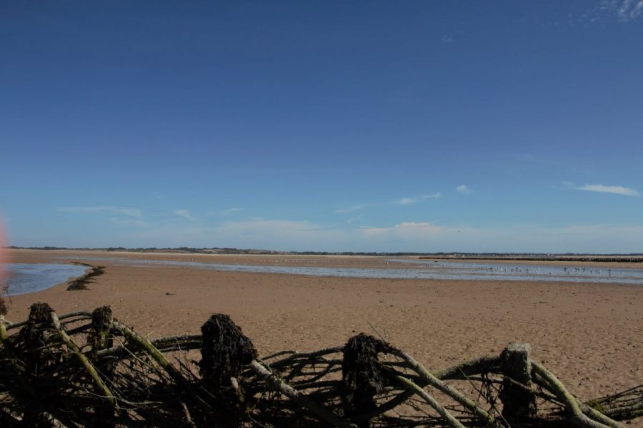 agon-coutainville-la-balade-anton-4