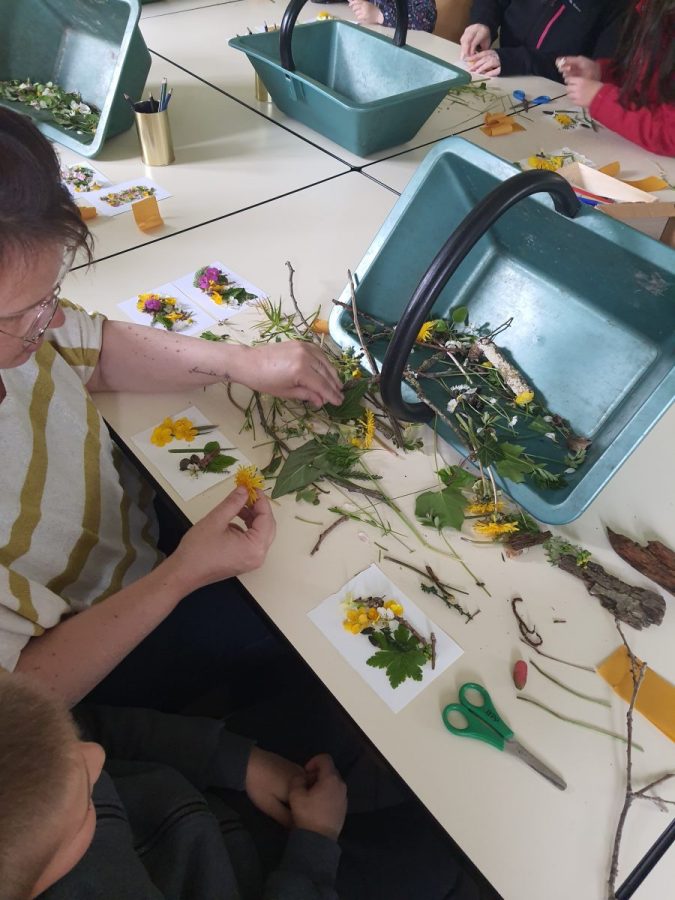 empreintes-vegetales-PNRNM