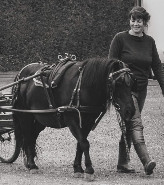 Éco Ferme Pédagogique de Chambesne Centre Equi Social